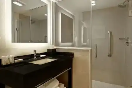 Embassy Suites by Hilton/ Fallsview - 10