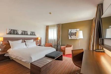 Holiday Inn Mulhouse, An Ihg - 92