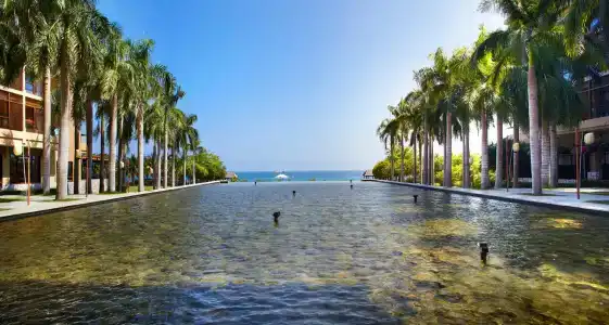 Yalong Bay Mangrove Tree Resort - 20