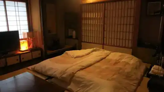 Fujiya Ryokan - 23
