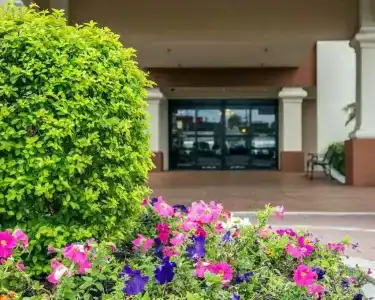 Comfort Inn International Drive - 17