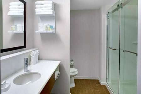 Hampton Inn & Suites, Vt - 37
