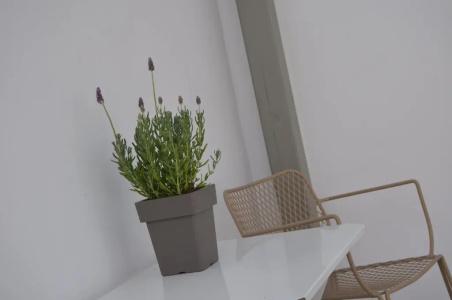 White and Grey - 245
