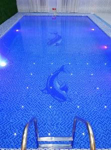 Gumbaz Eco Spa - 13