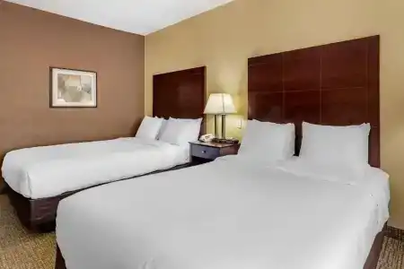 Comfort Inn & Suites - 37