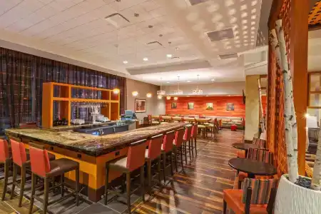 Hampton Inn Houston Downtown - 17