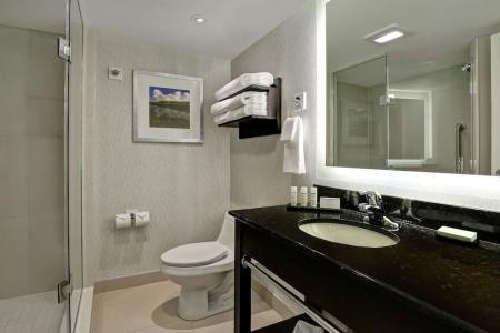 Embassy Suites by Hilton/ Fallsview - 50