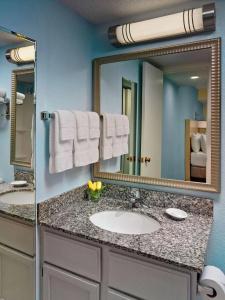 Sonesta ES Suites Houston Galleria - 32
