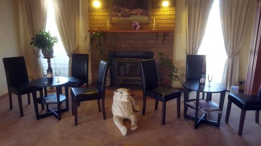 Hepburn Springs Motor Inn - 13
