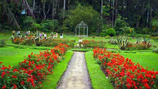 Panorama Green View Nuwara Eliya - 53