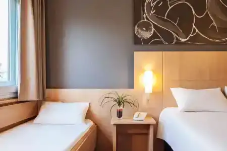 Ibis Cornella - 31