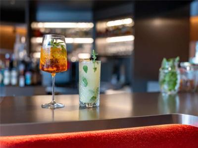 Novotel Zurich City West - 35