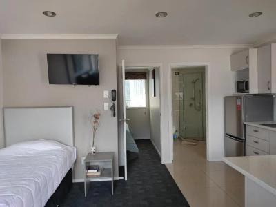 Phoenix Palm - 27