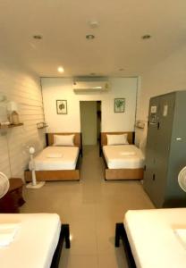 Back Home Backpackers - 26