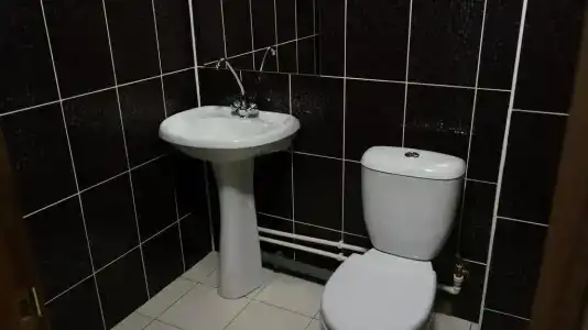 Аист - 7
