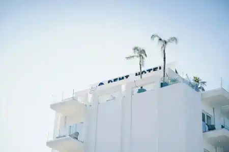 Demi - 0