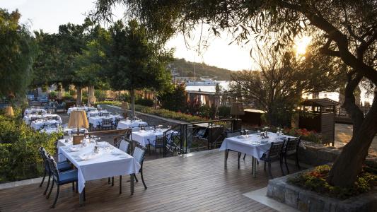 Divan Bodrum Palmira - 33