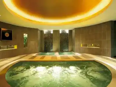 Swissôtel Grand - 21