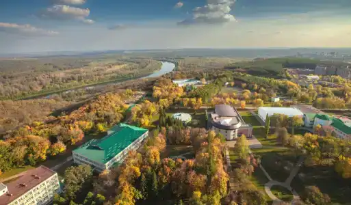 Зеленая роща - 6