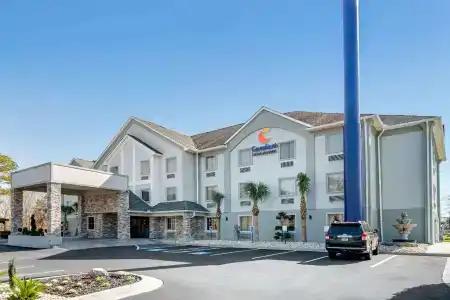 Comfort Inn & Suites North I-75 - 22