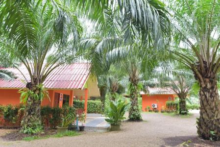 Palm Kaew Resort Krabi - 102