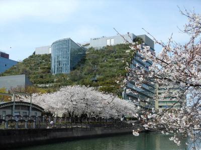 Fukuoka Floral Inn Nishinakasu - 21