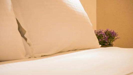 Costa Domus Blue Luxury - 166