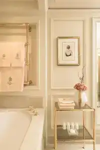Ritz Paris - 18