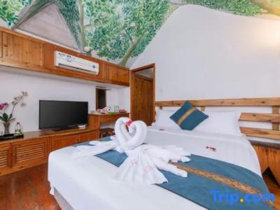 Evergreen Resort - 97