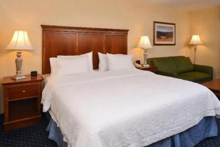 Hampton Inn and Suites South - 79