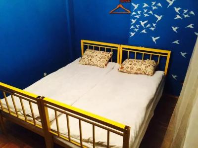 Zebra Hostel and Tours - 33