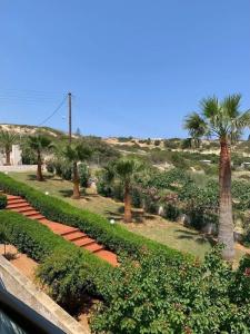 Chrysalis - Adults Only - 36