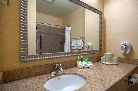 Holiday Inn Express & Suites Central - 58