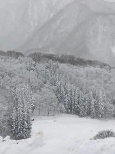 The Guest House Japan Hakuba - 8