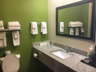 Quality Inn & Suites Austin Airport - 32