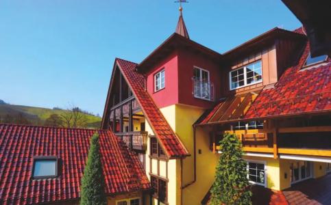Rebstock Durbach - 93