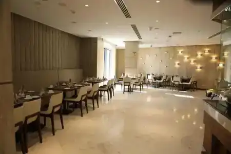 Vip - 11