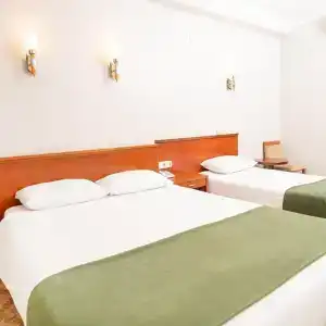 Golden Siyav - 24