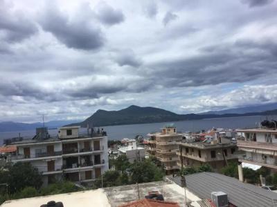 Kallithea - 61
