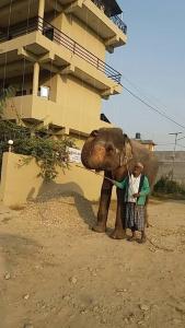 Sauraha - 6