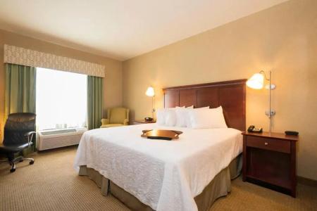 Hampton Inn & Suites I-20 - 46