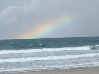 Glen Eden Beach - 17