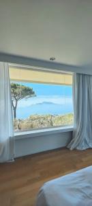 Relais Blu - 55
