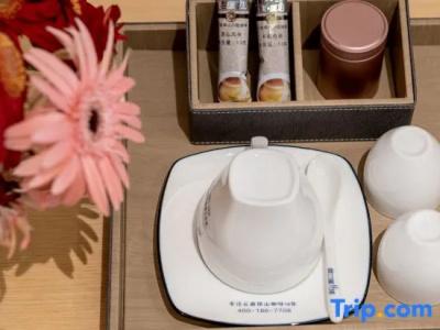 Microtel by Wyndham Lijiang - 58