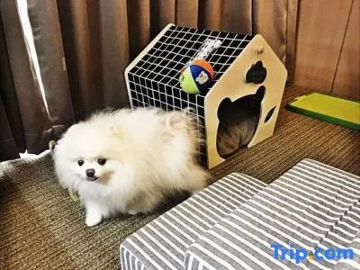 Royal Emporium Incheon Airport - 78