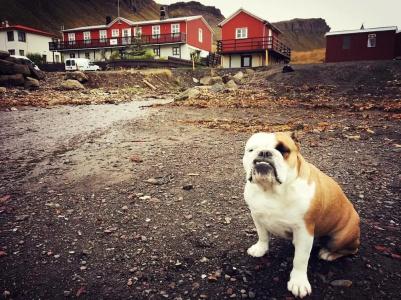 Hótel Djúpavík - 12