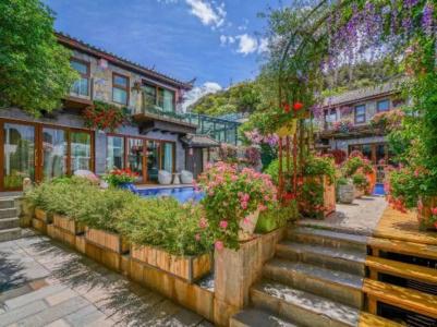 Shuhe Songyun No.1 - 1