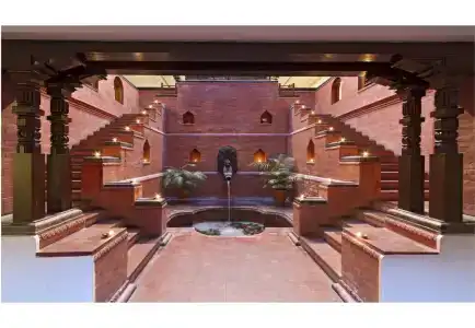 Bar Peepal - 16