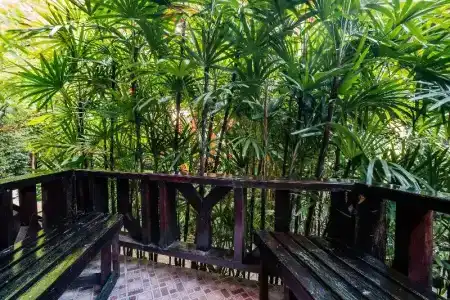 Phu Pha Aonang Resort & Spa - 66