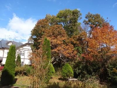 Gasthof Arutany - 24